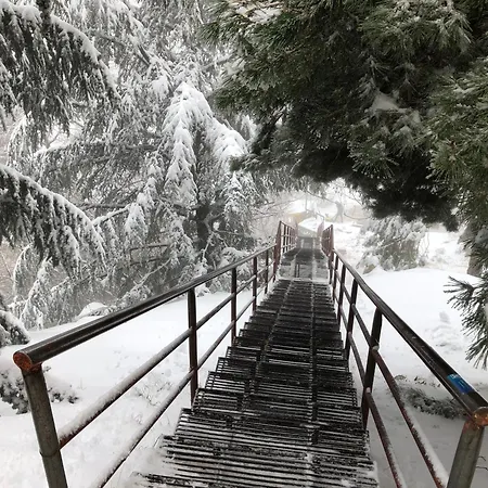 Loft Con Wifi Y Parking En El Corazon De Sierranevada